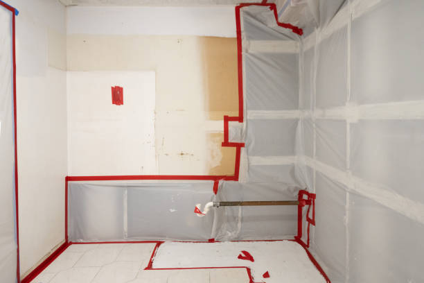 Best Mold Removal for HVAC Installations  in Elk Ridge, UT