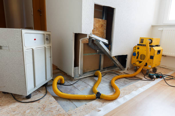 Best Mold Prevention Services  in Elk Ridge, UT