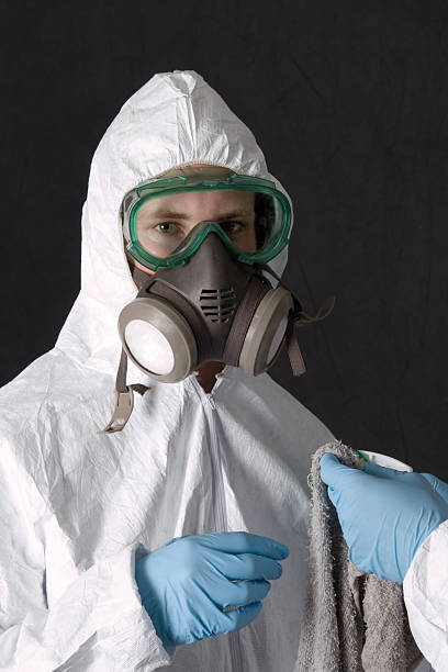 Best Black Mold Removal  in Elk Ridge, UT